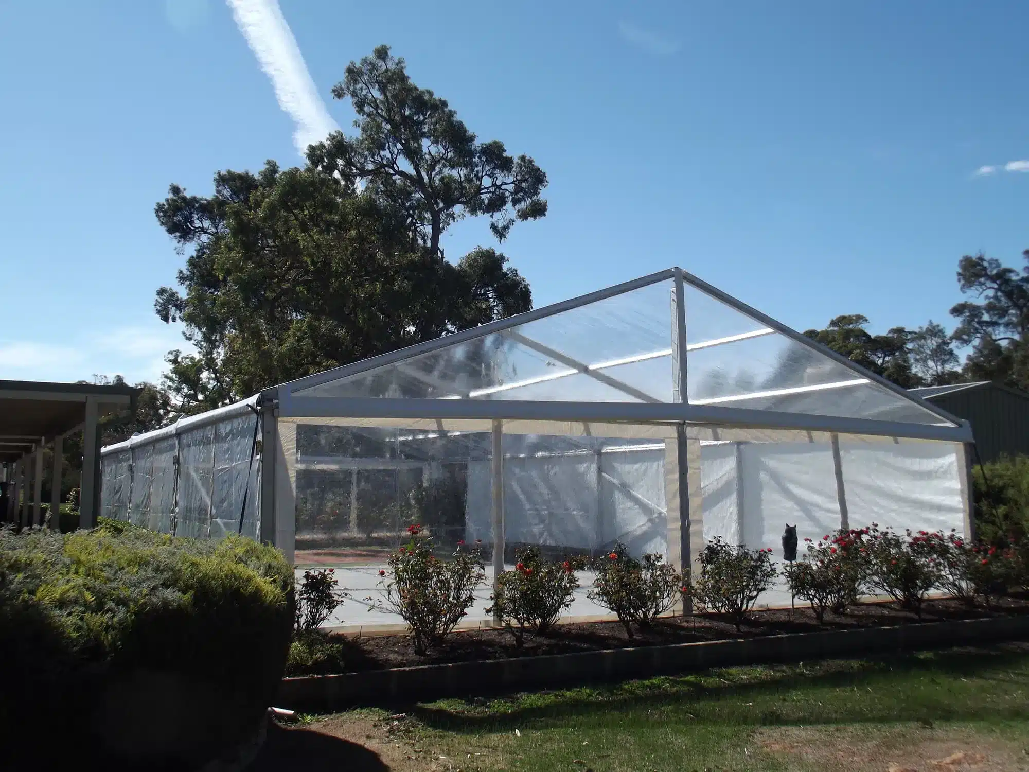 Structured Marquee - Image 4