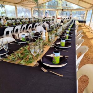 Plastic Chairs - White/Black - Image 4