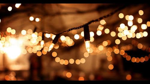 Commercial LED Fairy Lights