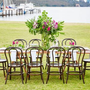 Bentwood Chair - Brown - Image 2